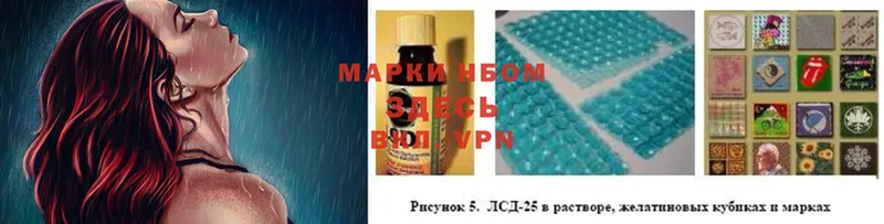 дарк нет телеграм  цены наркотик  Пудож  Марки NBOMe 1,5мг  hydra ONION 